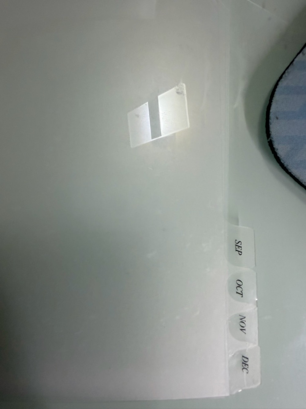 Cloth & Paper Clear Monthly Tabs - Frosted - Picture 4 of 4